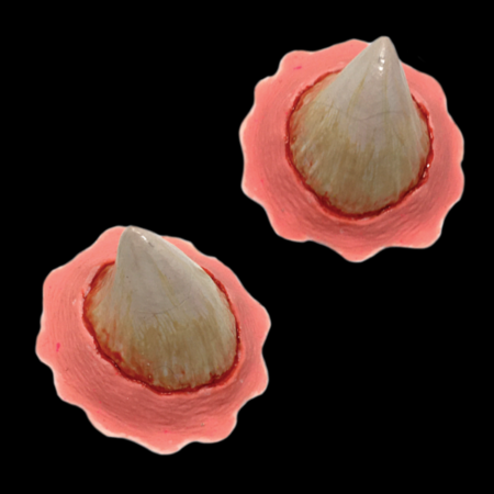 Black Label Latex - Little Horns