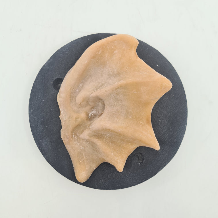 LARGE SIREN EARS LARGE SIREN EARS