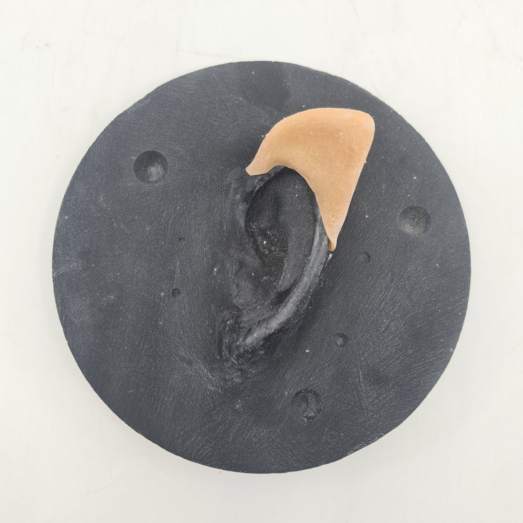 SMALL ELVEN EARTIPS SMALL ELVEN EARTIPS