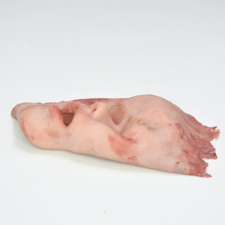 Skinned Face Hannibal Style